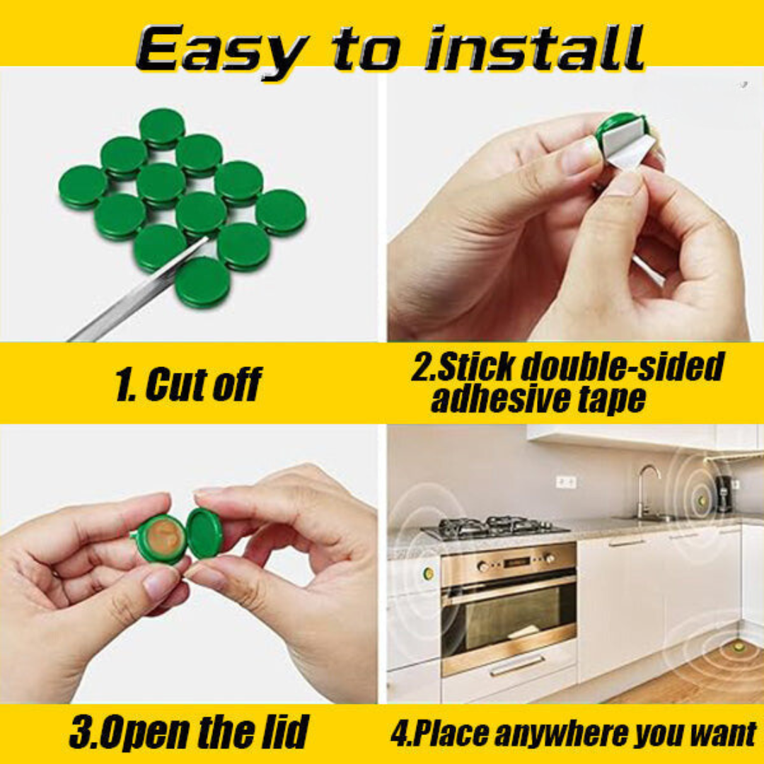 Kärpästen houkutteluasema