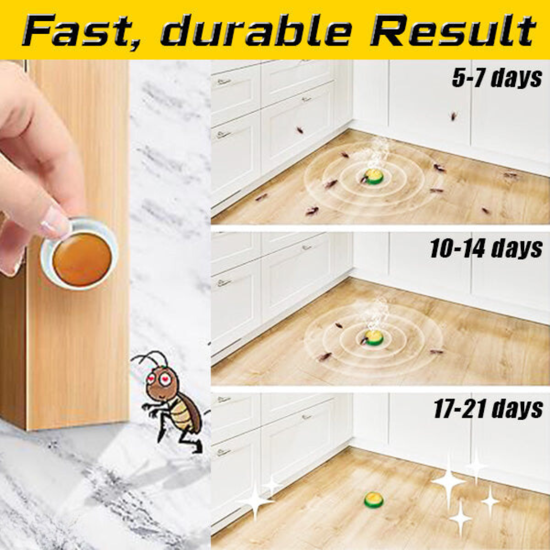 Kärpästen houkutteluasema